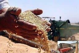 ۱۰ استان برتر در خرید گندم