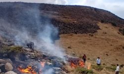 آتش سوزی در ارتفاعات شهرستان صحنه مهار شد