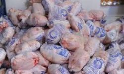 توزیع ۱۴ هزار کیلوگرم مرغ منجمد تنظیم بازار در شهرستان صحنه