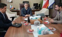 کنگره ملی شهید دکتر رهنمون در کرمانشاه برگزار می شود