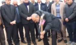 آغاز عملیات احداث نیروگاه خورشیدی ۳ مگاواتی سراب نیلوفر کرمانشاه