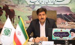 روند توزیع سیلندر گاز مایع به عشایر استان کرمانشاه بررسی شد