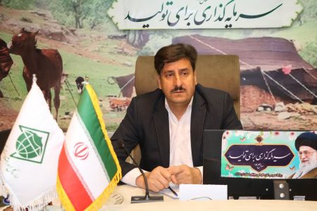 روند توزیع سیلندر گاز مایع به عشایر استان کرمانشاه بررسی شد