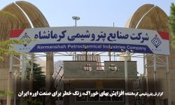 افزایش بهای خوراک، زنگ خطر برای صنعت اوره ایران
