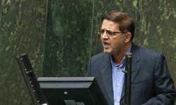 پایتخت گردو گرفتار آفت کرم خراط است