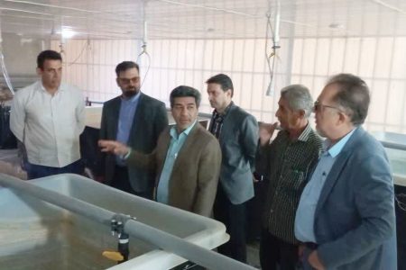 صید میگوی آب شیرین در قصرشیرین