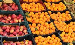 میوه مورد نیاز شب عید استان کرمانشاه تأمین شد