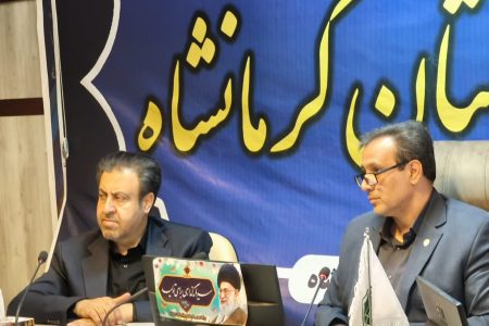  بازرسی از بازار، نقش مهمی در تثبیت قیمت ها دارد
