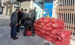 تداوم توزیع سیب زمینی تنظیم بازار در استان کرمانشاه