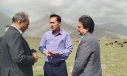شهرک تخصصی ماهیان زینتی در شهرستان هرسین احداث می شود