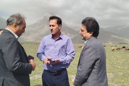 شهرک تخصصی ماهیان زینتی در شهرستان هرسین احداث می شود