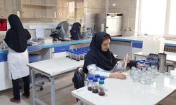 کیفیت آب شرب شهرها و روستاهای استان کرمانشاه مطلوب ارزیابی شد
