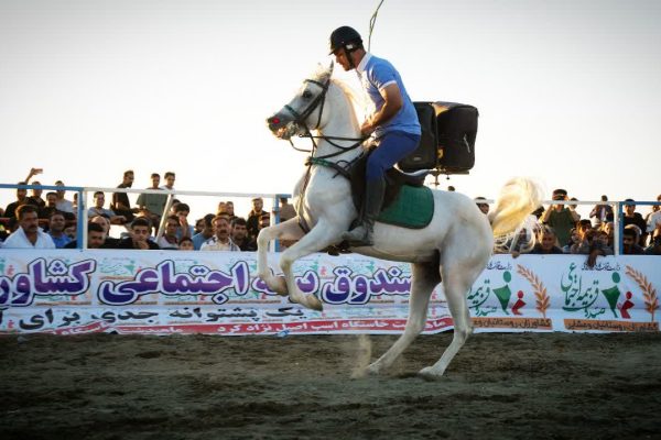 جشنواره سواران ماد دشت برگزار شد/ اسب اصیل کٌرد یک فرصت برای توسعه گردشگری کرمانشاه است